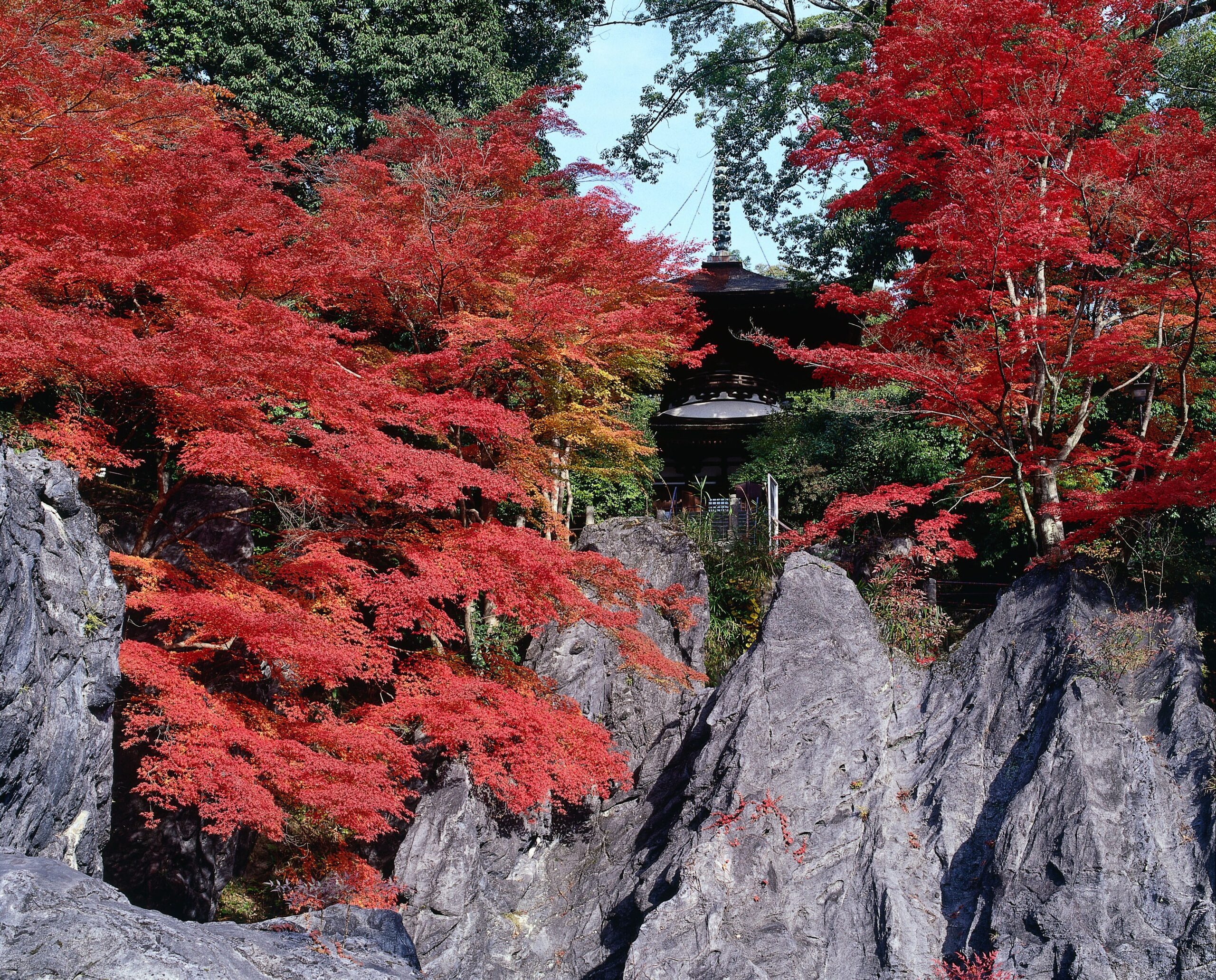 滋賀県大津市 石山寺境内